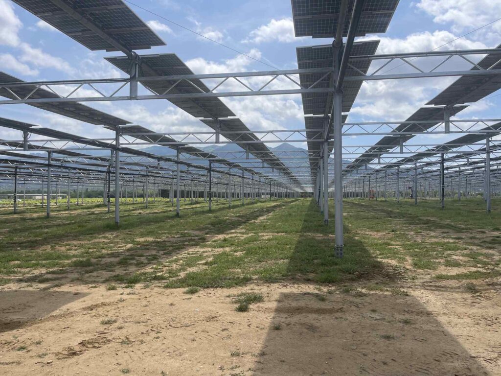 Centrale agrivoltaïque « TressSerre2 » · 3,2 MWc  IMG 1178 3